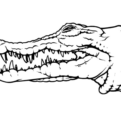 Gator